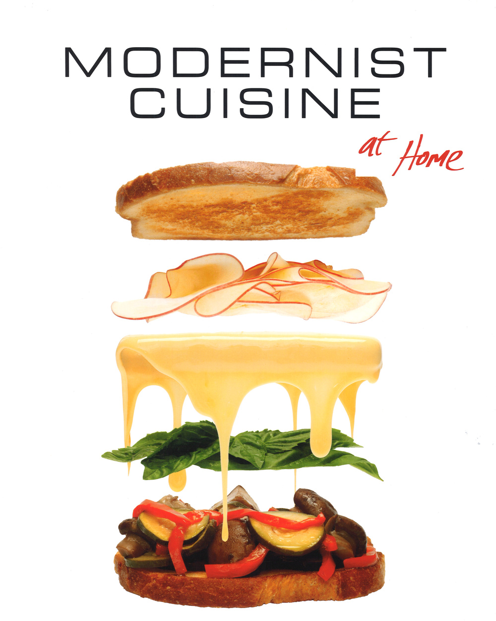 Modernist cuisine at home. Ediz. illustrata