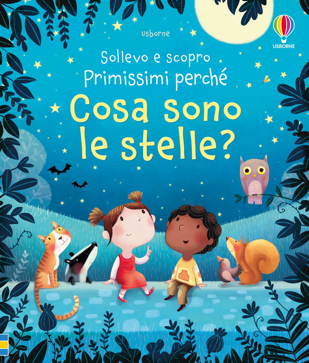 Cosa sono le stelle? Ediz. a colori