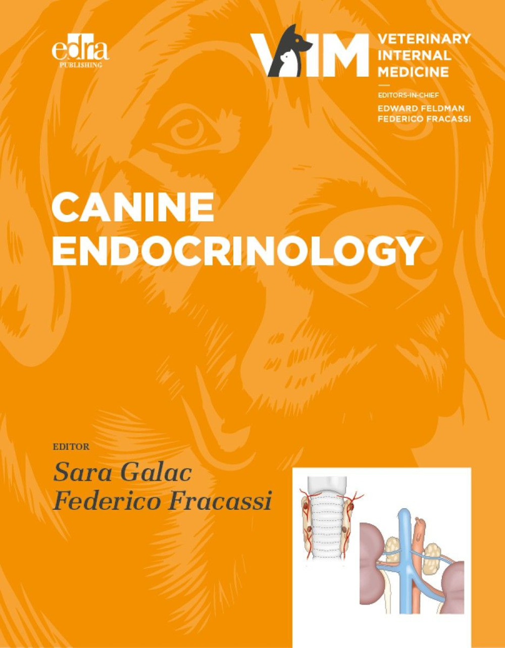 Canine Endocrinolgy