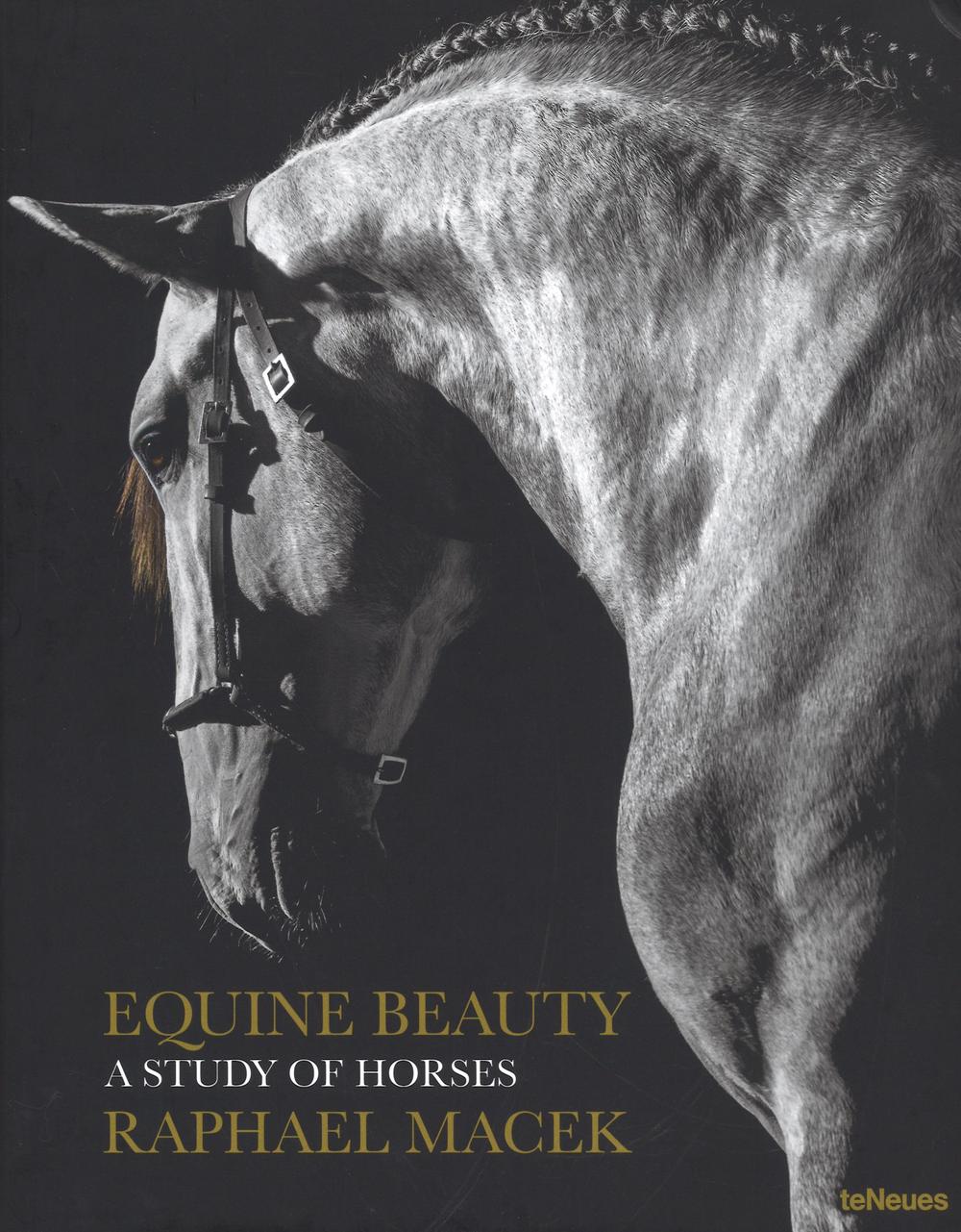 Equine beauty. A study of horses. Ediz. a colori