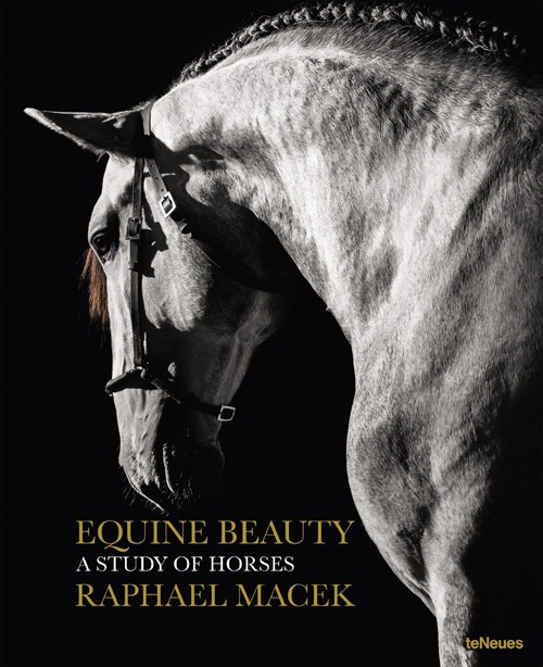 Equine beauty. A study of horses. Ediz. multilingue
