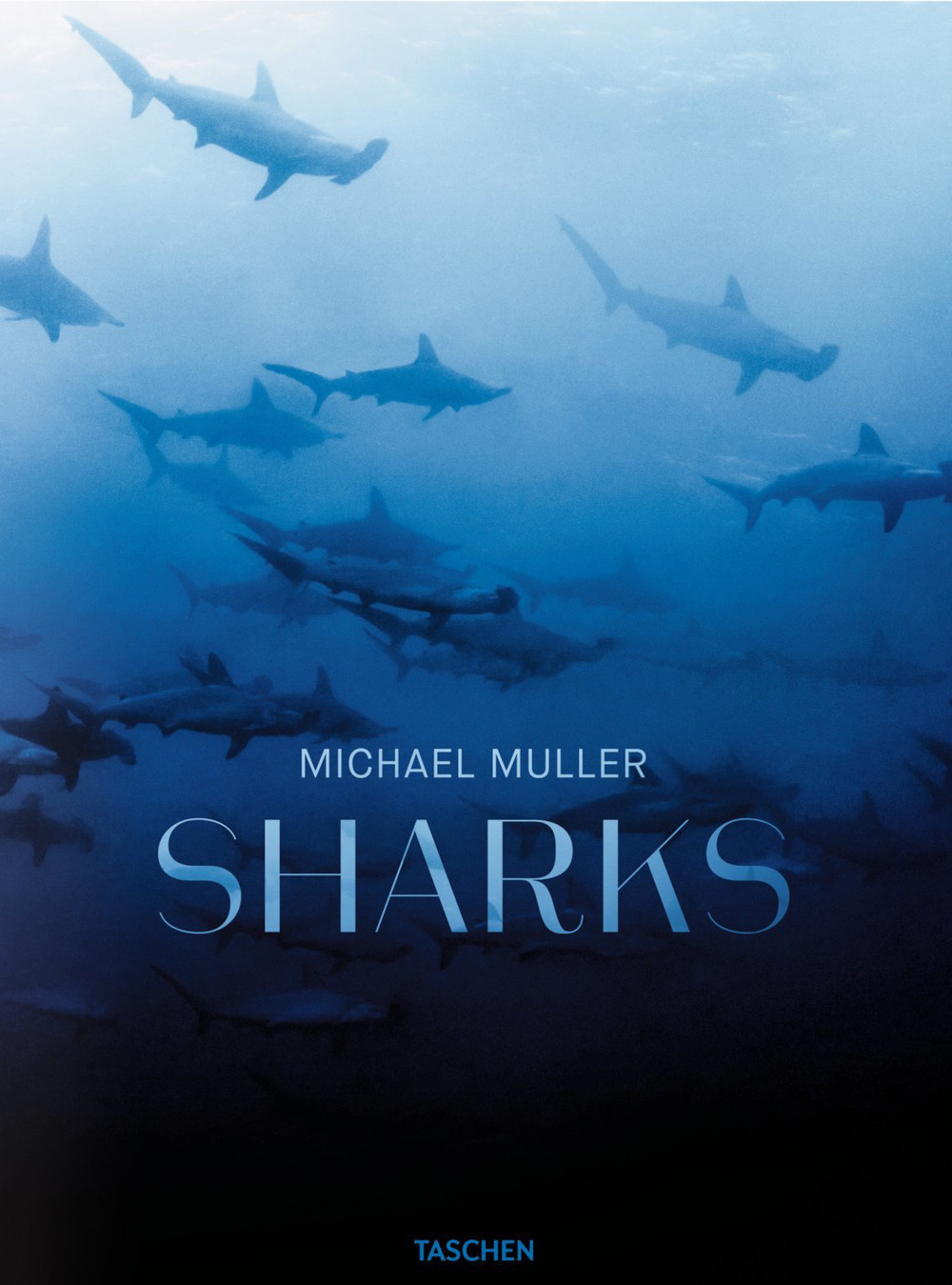 Michael Muller. Sharks. Ediz. inglese