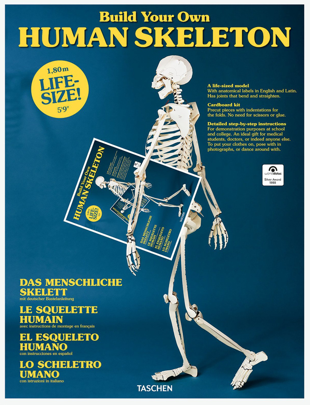 Build your own Human Skeleton. Ediz. inglese, francese e tedesca