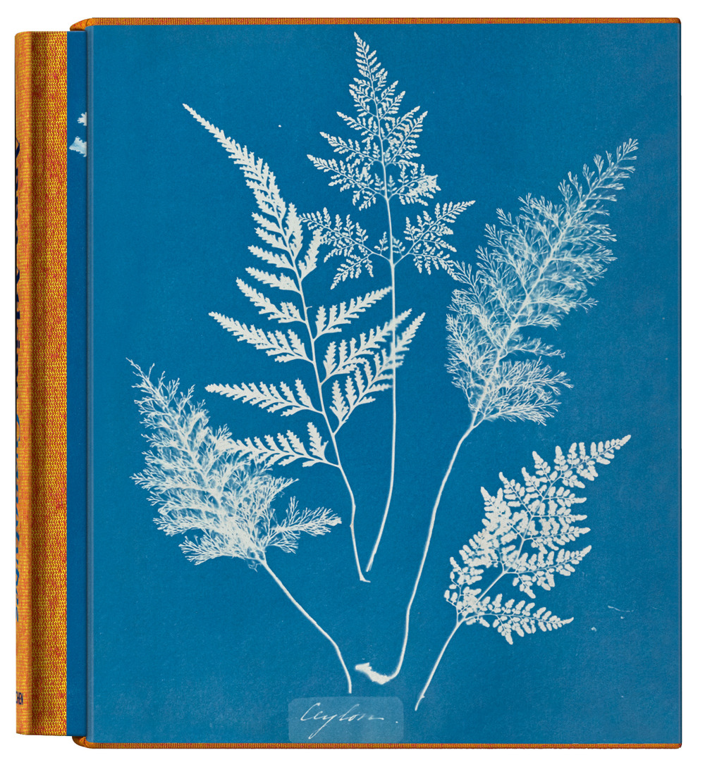 Anna Atkins. Cyanotypes. Ediz. inglese, francese e tedesca