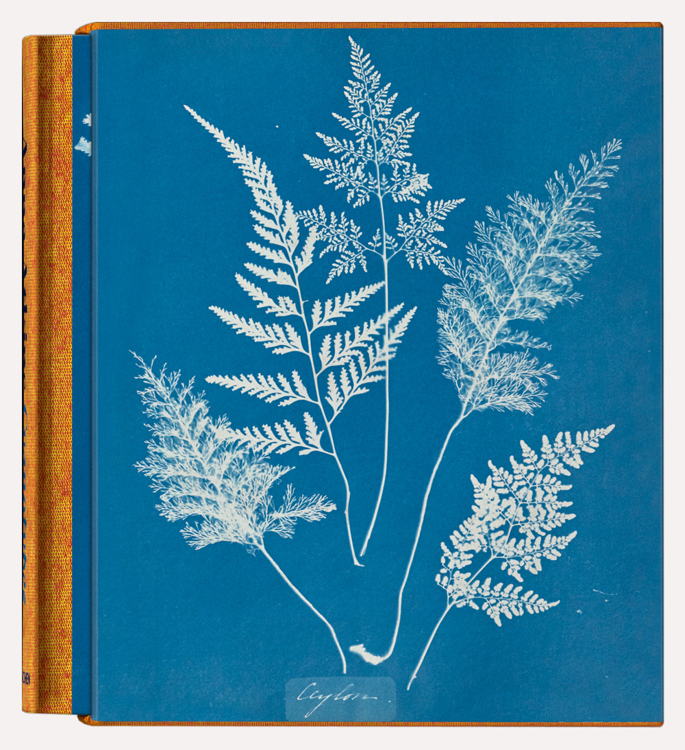 Anna Atkins. Cyanotypes. Ediz. inglese, francese e tedesca