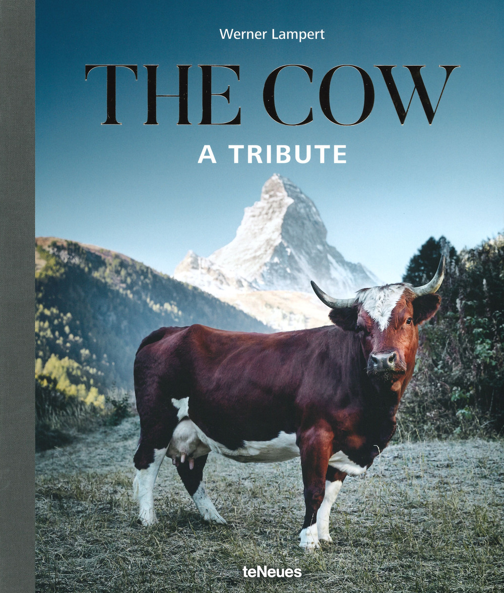 The cow. A tribute. Ediz. illustrata