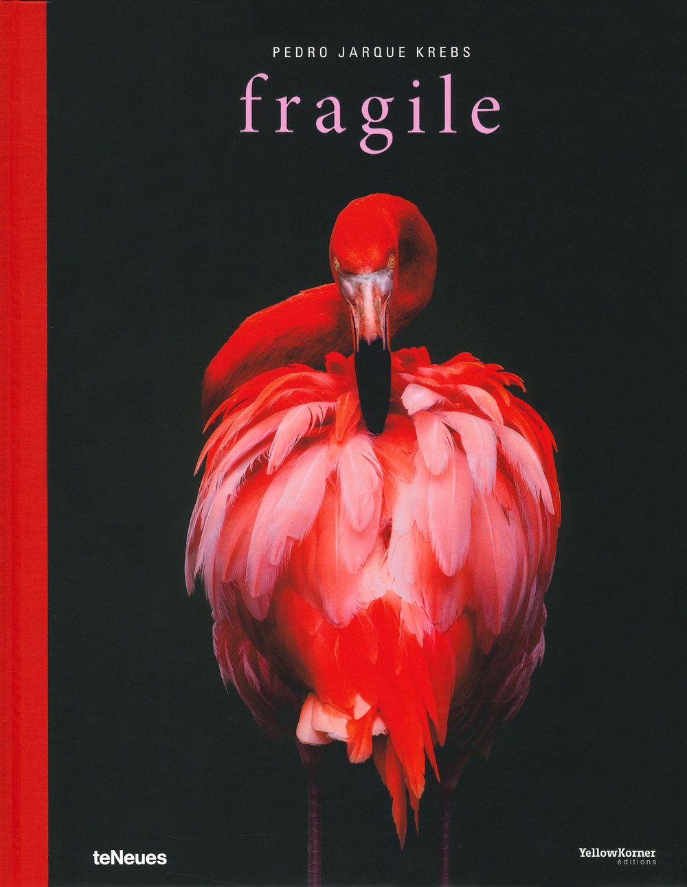 Fragile. Ediz. inglese, tedesca, spagnola e francese