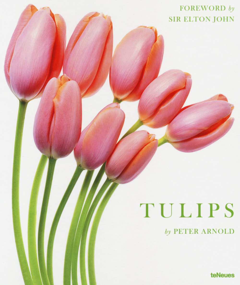 Tulips. Ediz. illustrata