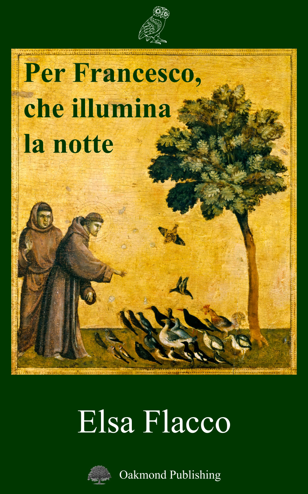 Per Francesco, che illumina la notte