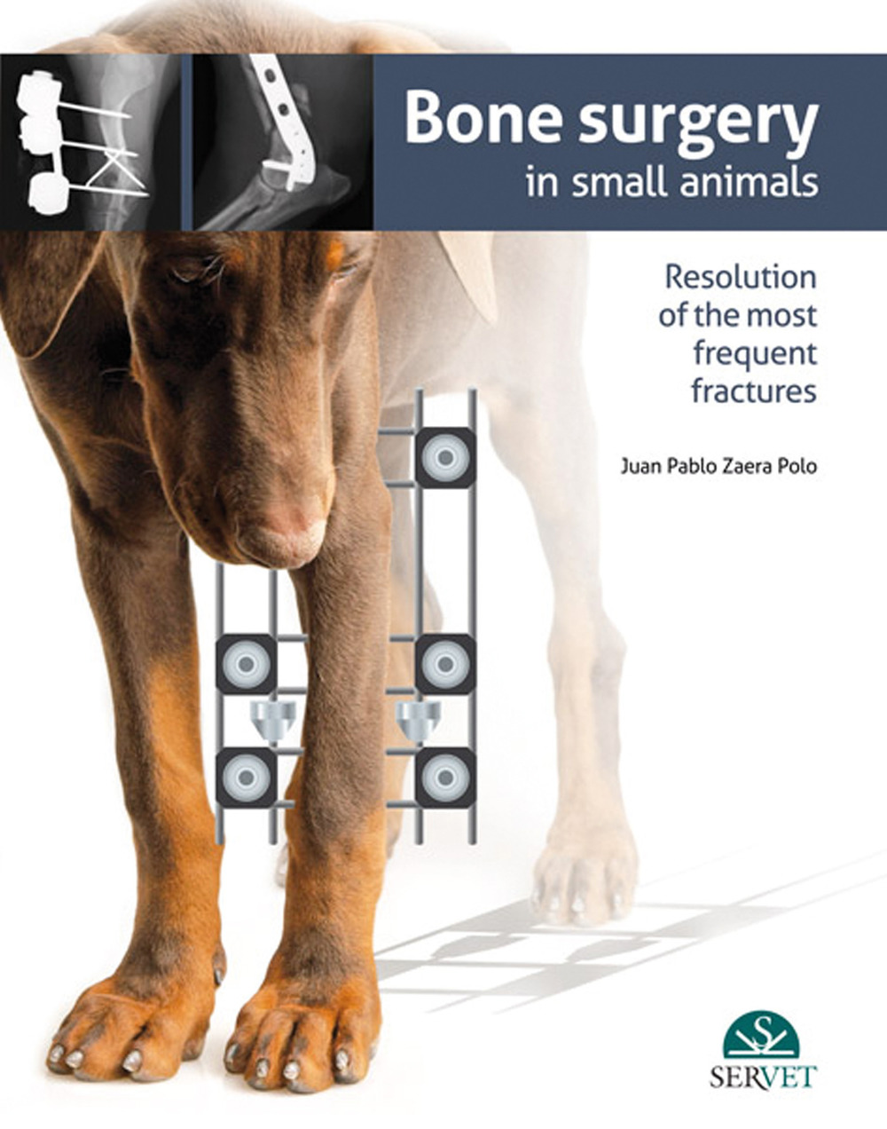 Bone surgery in small animals