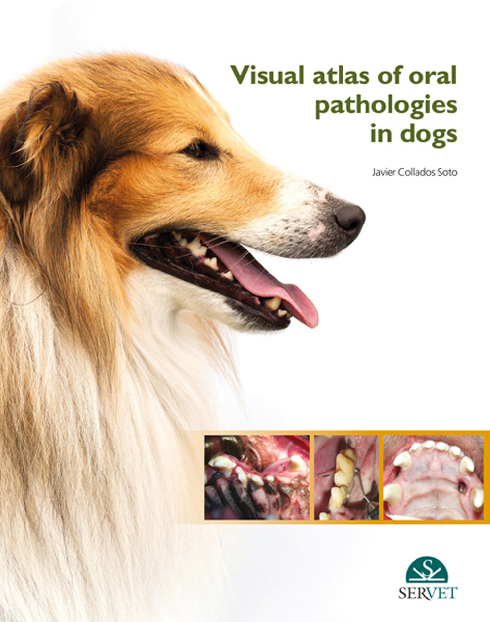 Visual atlas of oral pathologies in dogs