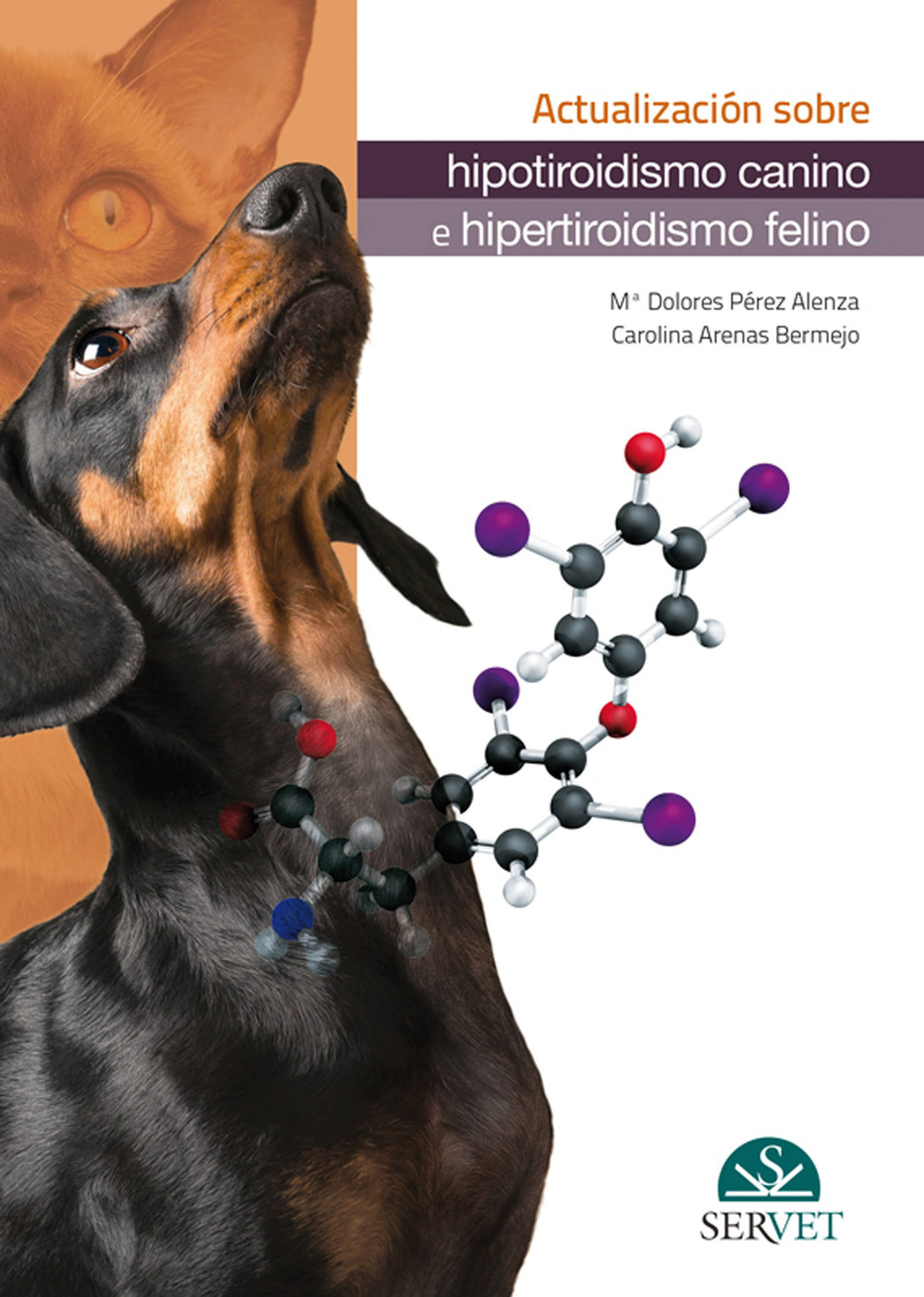 Actualización sobre hipotiroidismo canino e hipertiroidismo felino