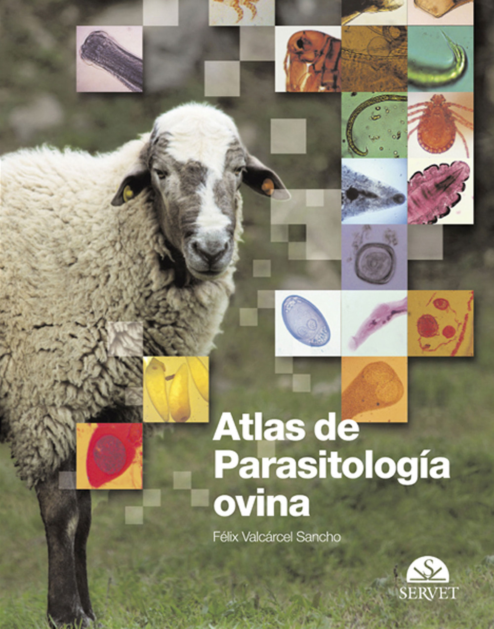 Atlas de parasitología ovina