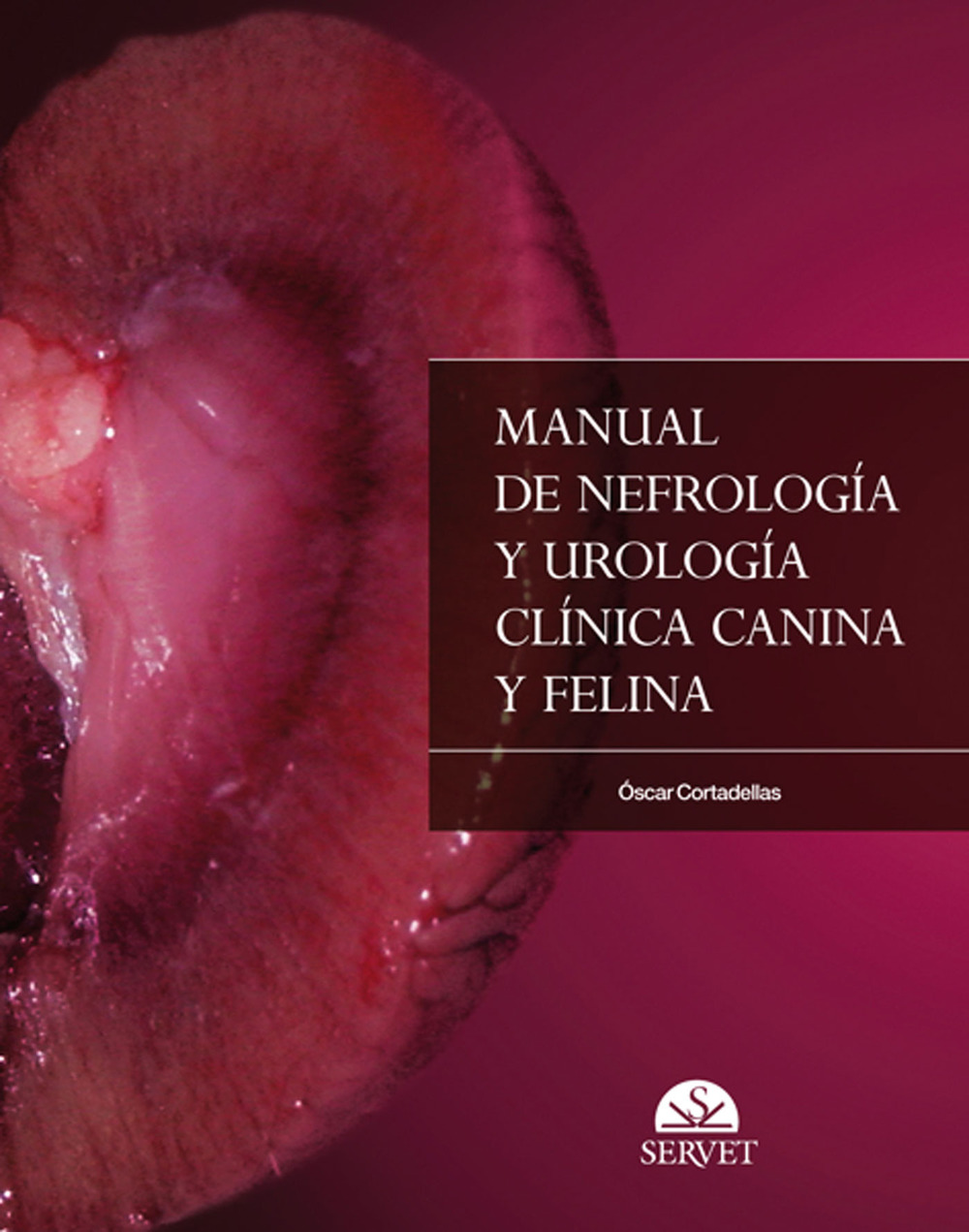 Manual de nefrología y urología clínica canina y felina