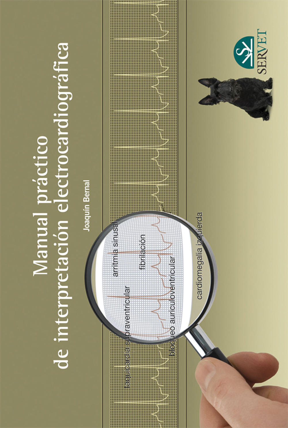 Manual práctico de interpretación electrocardiográfica