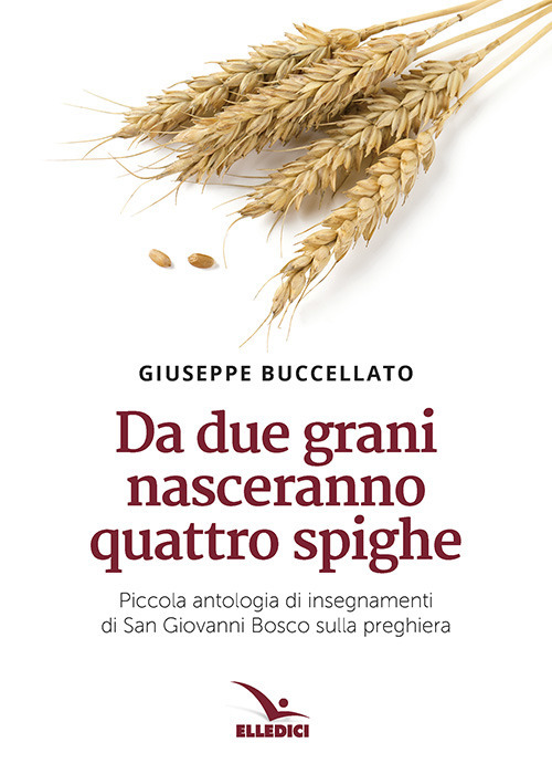 Da due grani nasceranno quattro spighe. Piccola antologia di insegnamenti di San Giovanni Bosco sulla preghiera