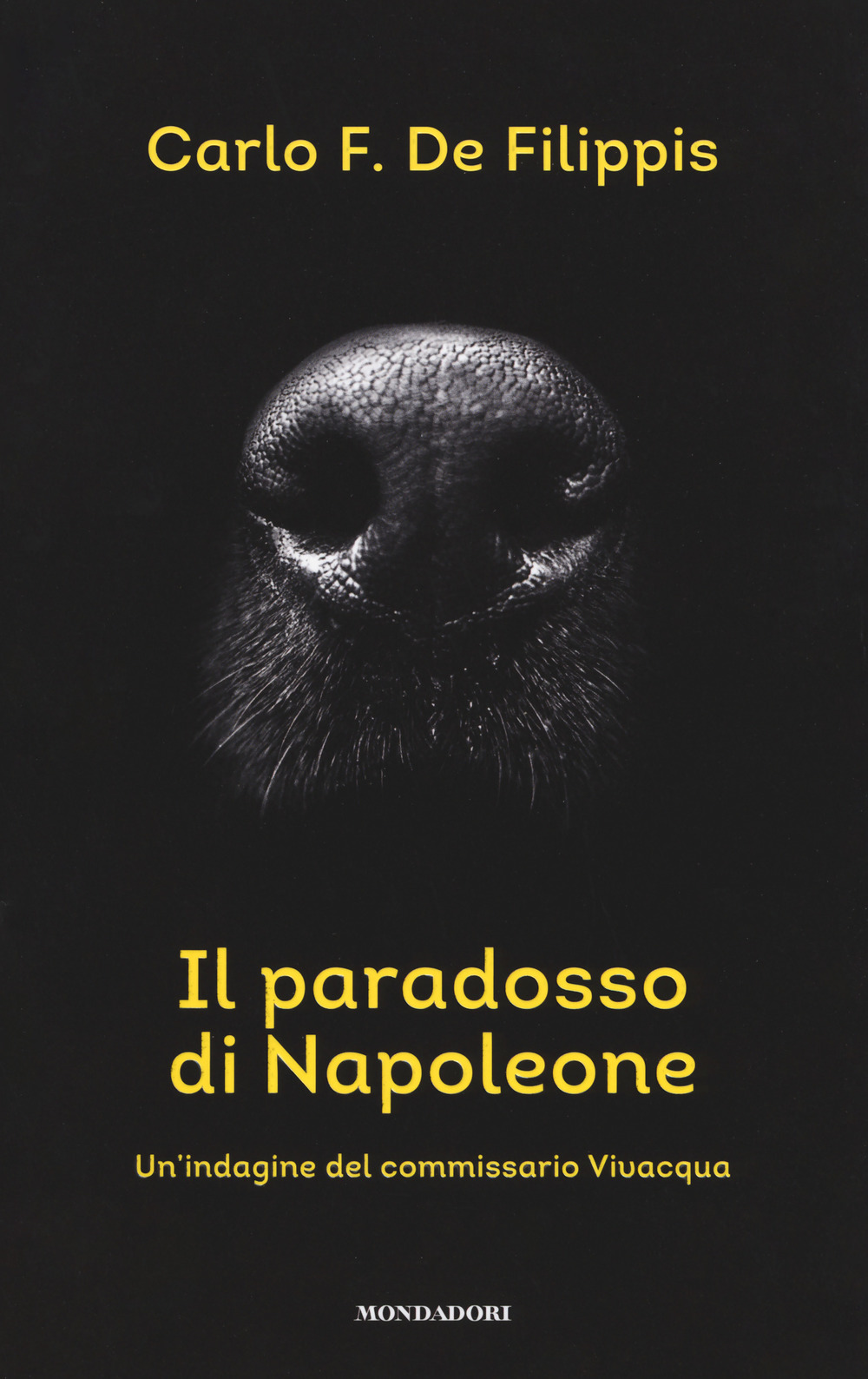 Il paradosso di Napoleone. Un'indagine del commissario Vivacqua