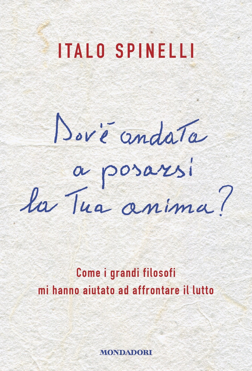 Dov'è andata a posarsi la tua anima? Come i grandi filosofi mi hanno aiutato ad affrontare il lutto