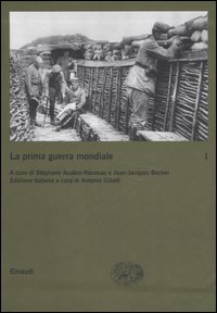 La prima guerra mondiale. Vol. 1