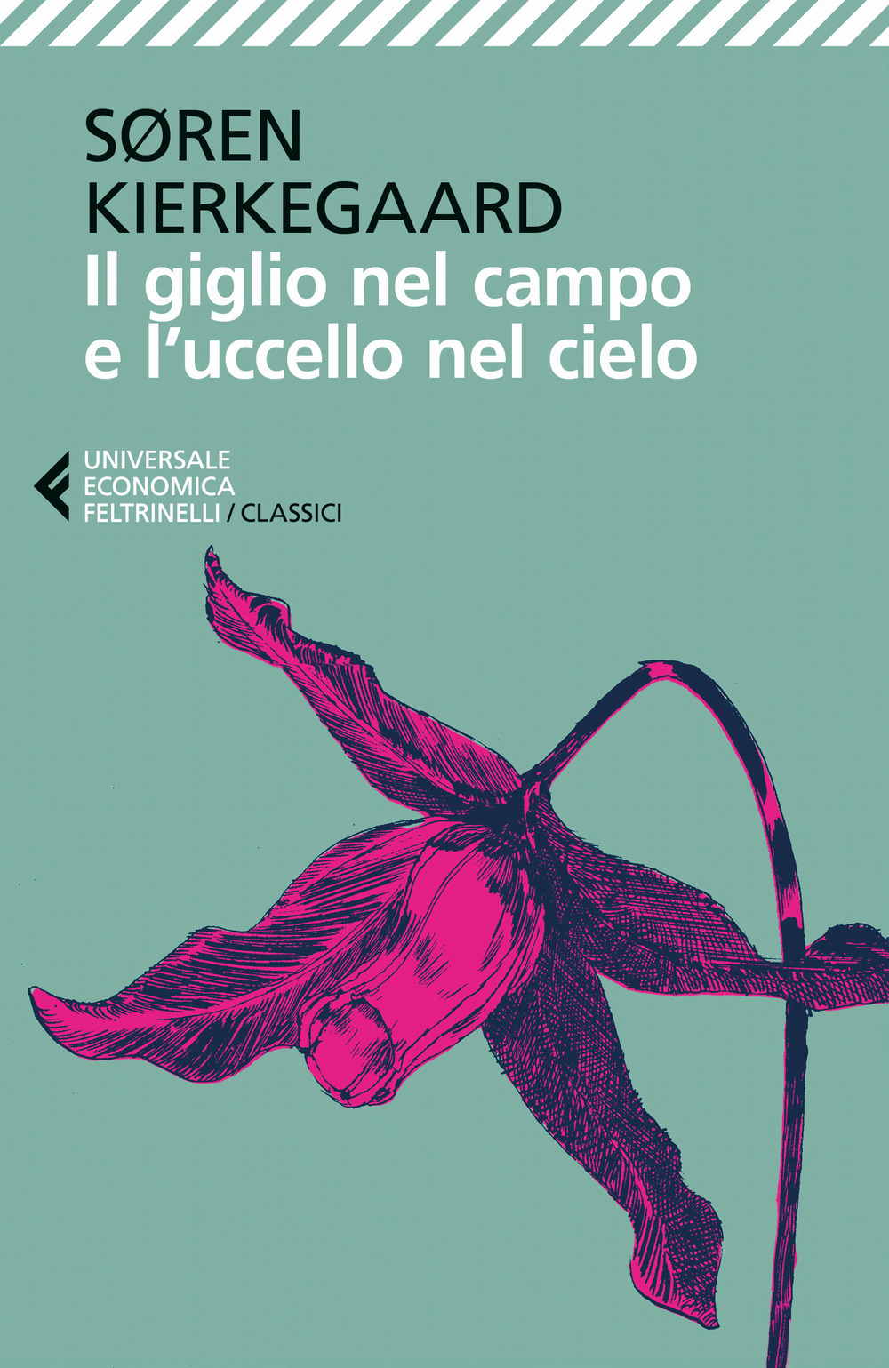 Il giglio nel campo e l'uccello nel cielo