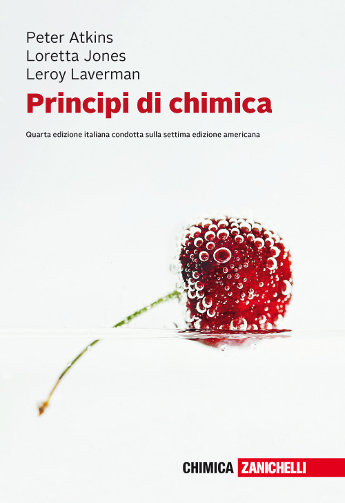 Principi di chimica. Con e-book