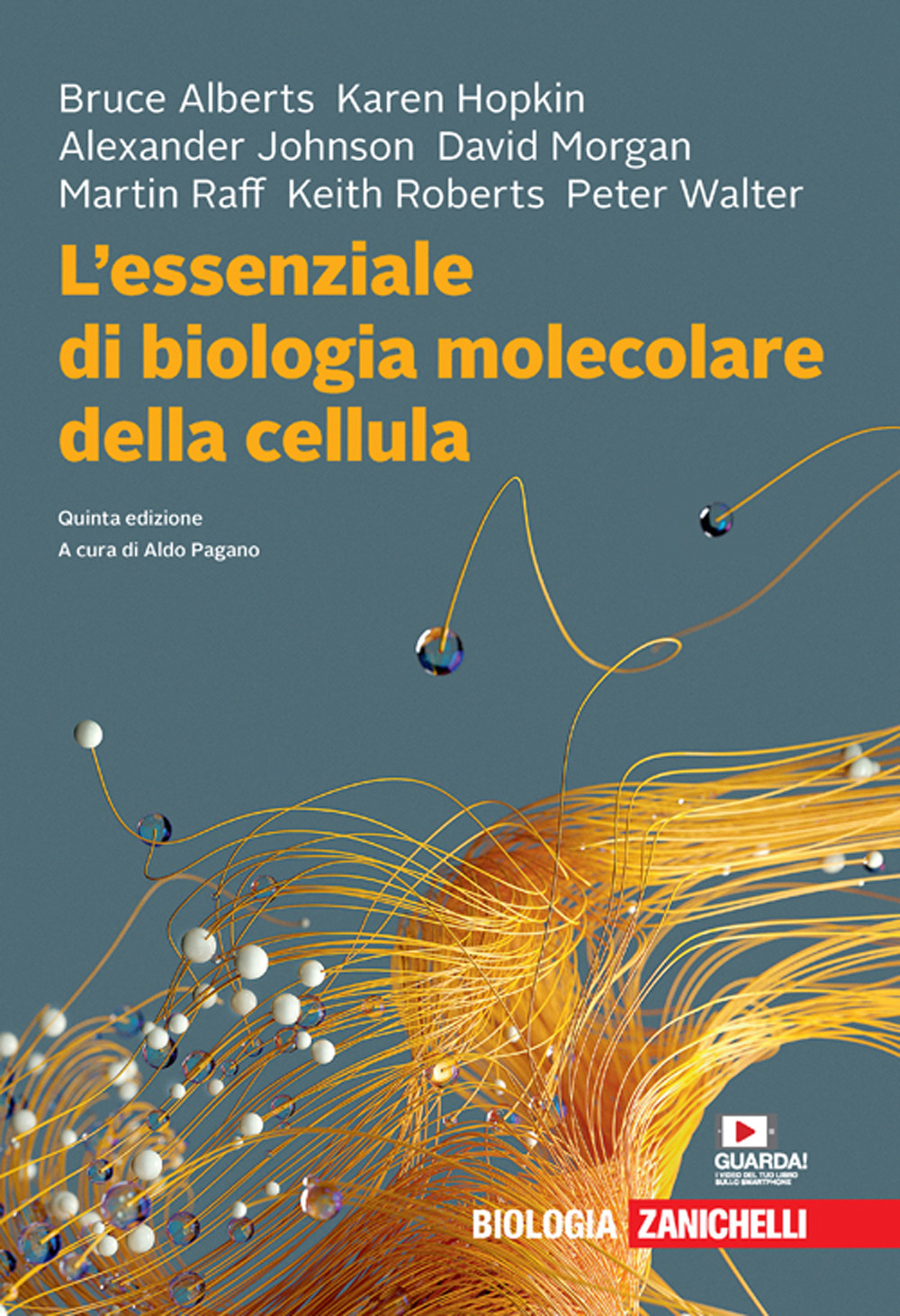 L'essenziale di biologia molecolare della cellula. Con Contenuto digitale (fornito elettronicamente)