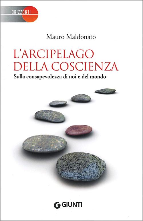 L'arcipelago della coscienza. Sulla consapevolezza di noi e del mondo