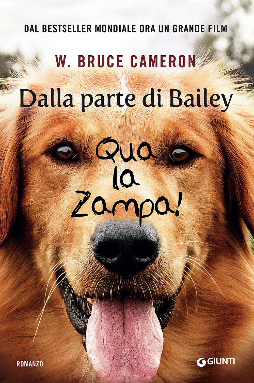 Dalla parte di Bailey. Qua la zampa!