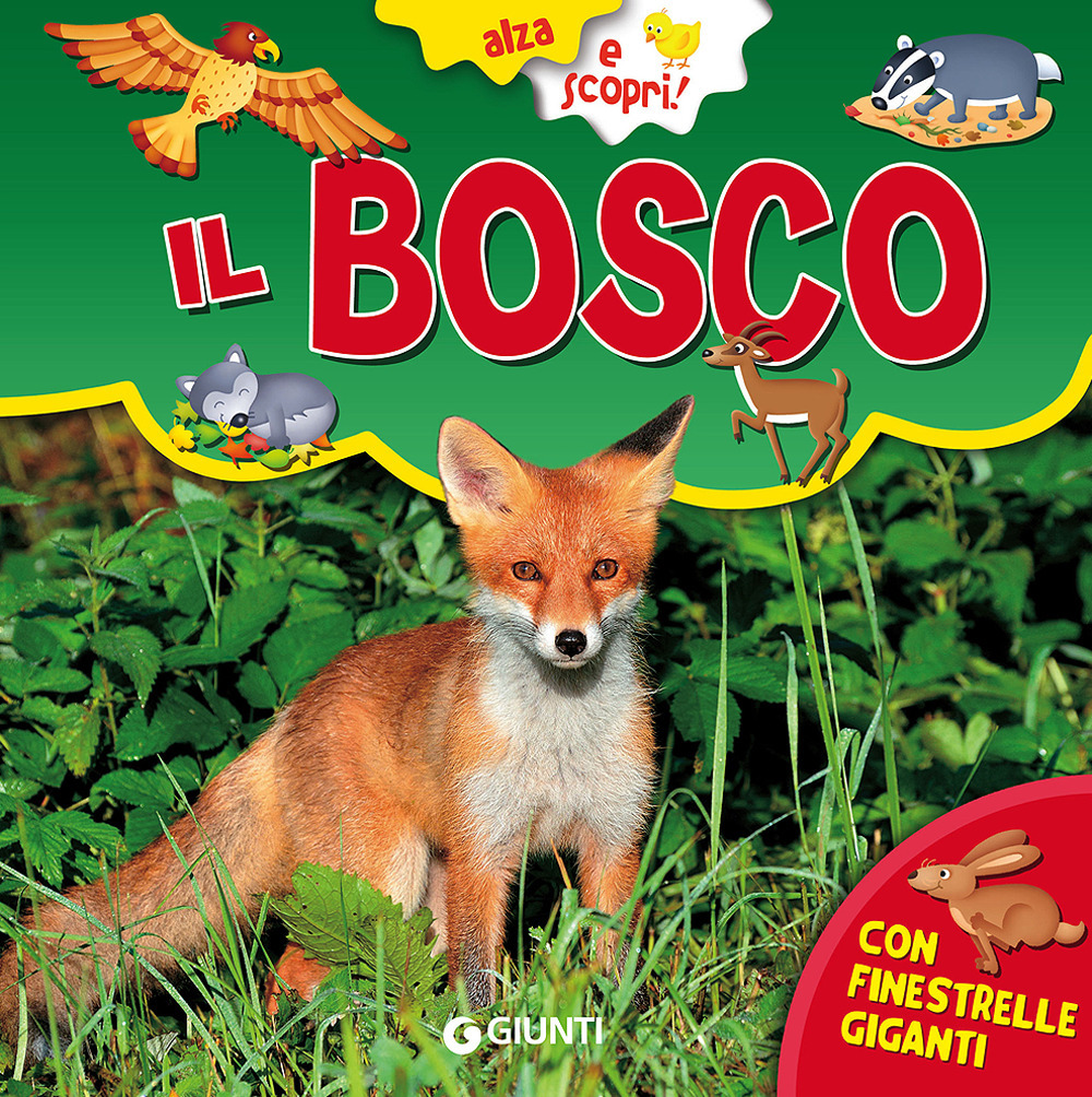 Il bosco. Ediz. a colori