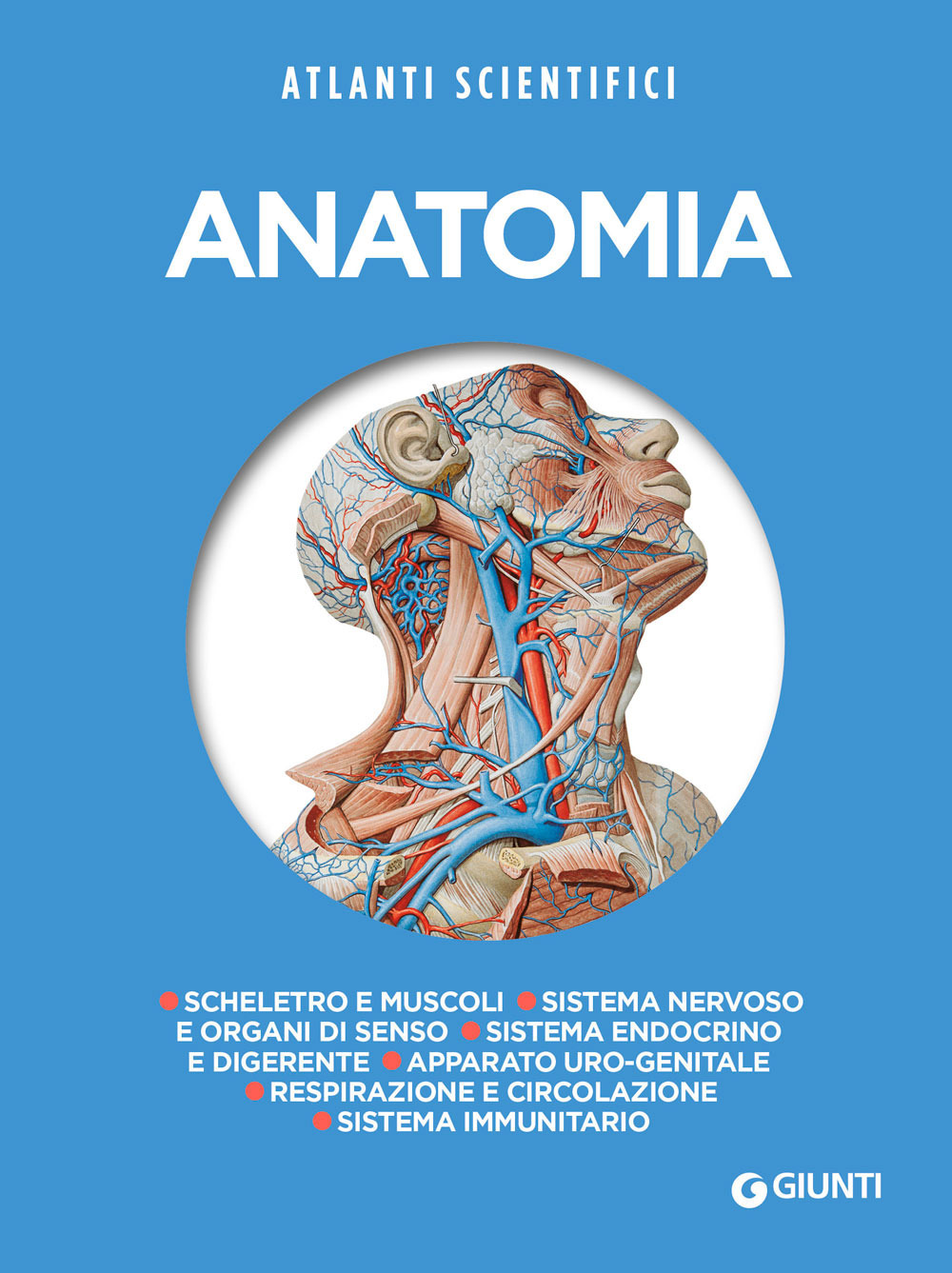 Anatomia