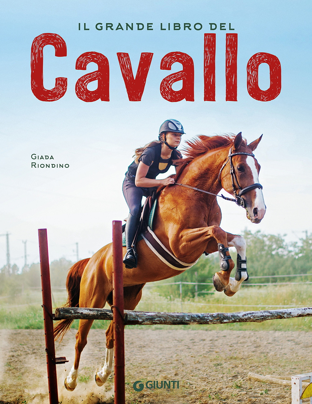 Il grande libro del cavallo. Nuova ediz.