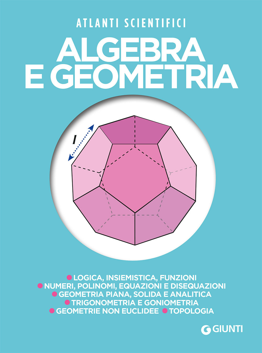 Algebra e geometria