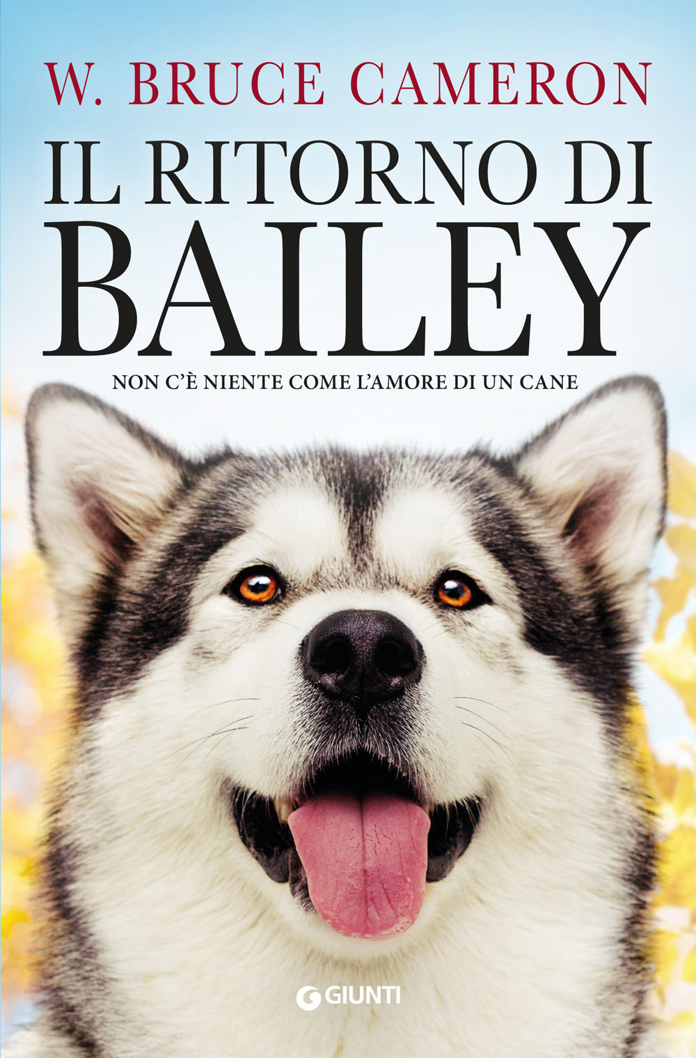 Il ritorno di Bailey