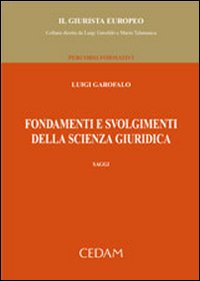 Fondamenti e svolgimenti della scienza giuridica. Saggi