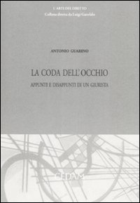 La coda dell'occhio. Appunti e disappunti di un giurista