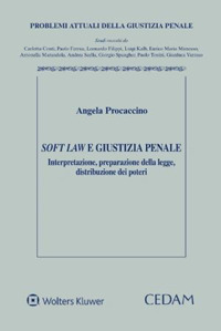 Soft law e giustizia penale