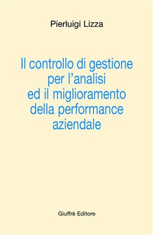 Il controllo di gestione per l'analisi ed il miglioramento della performance aziendale