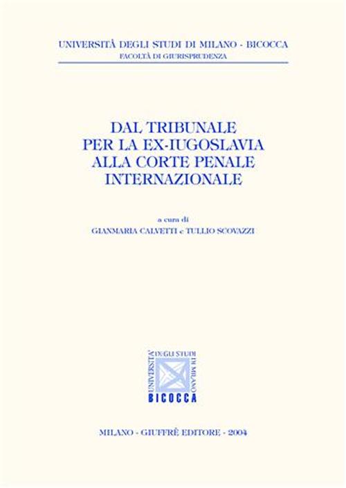 Dal Tribunale per la ex-Iugoslavia alla Corte penale internazionale