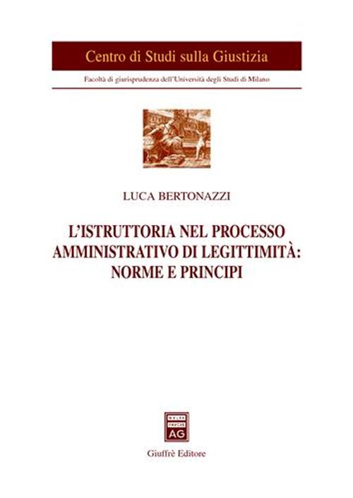 L'istruttoria nel processo amministrativo di legittimità: norme e principi