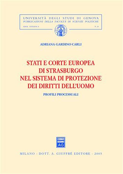 Stati e Corte europea di Strasburgo nel sistema di protezione dei diritti dell'uomo. Profili processuali