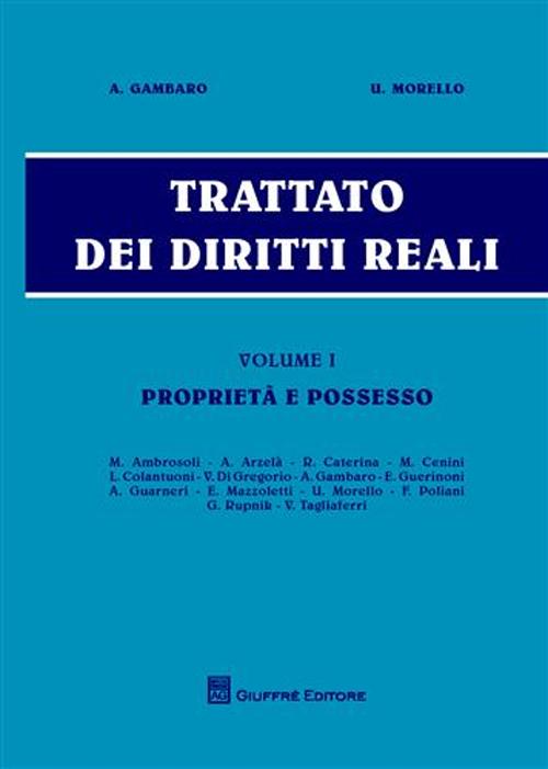 Trattato dei diritti reali. Vol. 1: Proprietà e possesso