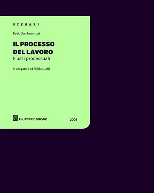 Il processo del lavoro. Con CD-ROM