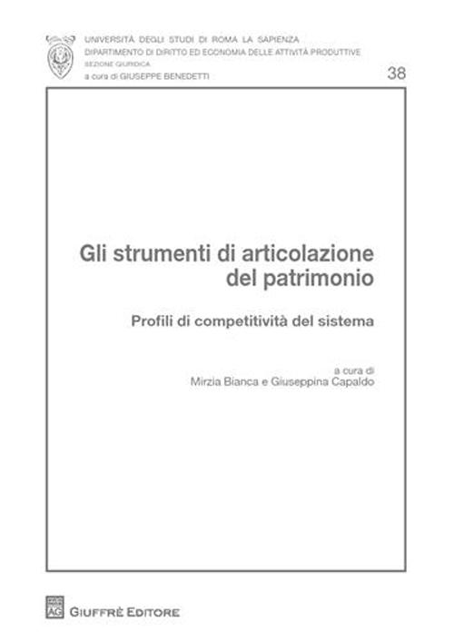 Gli strumenti di articolazione del patrimonio. Profili di competitività del sistema