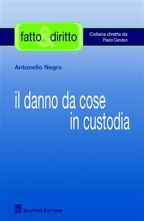 Il danno da cose in custodia