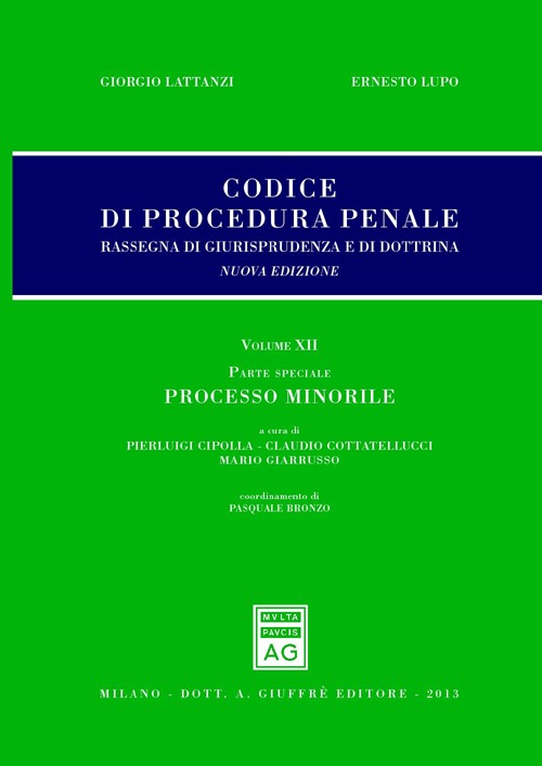 Codice di procedura penale. Rassegna di giurisprudenza e di dottrina. Vol. 12: Parte speciale. Processo minorile