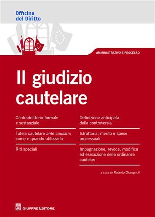 Il giudizio cautelare