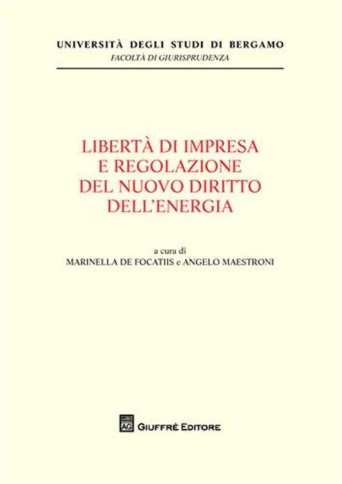 Liberta' di impresa e regolazione del nuovo diritto dell'energia