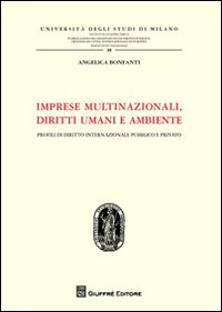 Imprese multinazionali, diritti umani e ambiente. Profili di diritto internazionale pubblico e privato