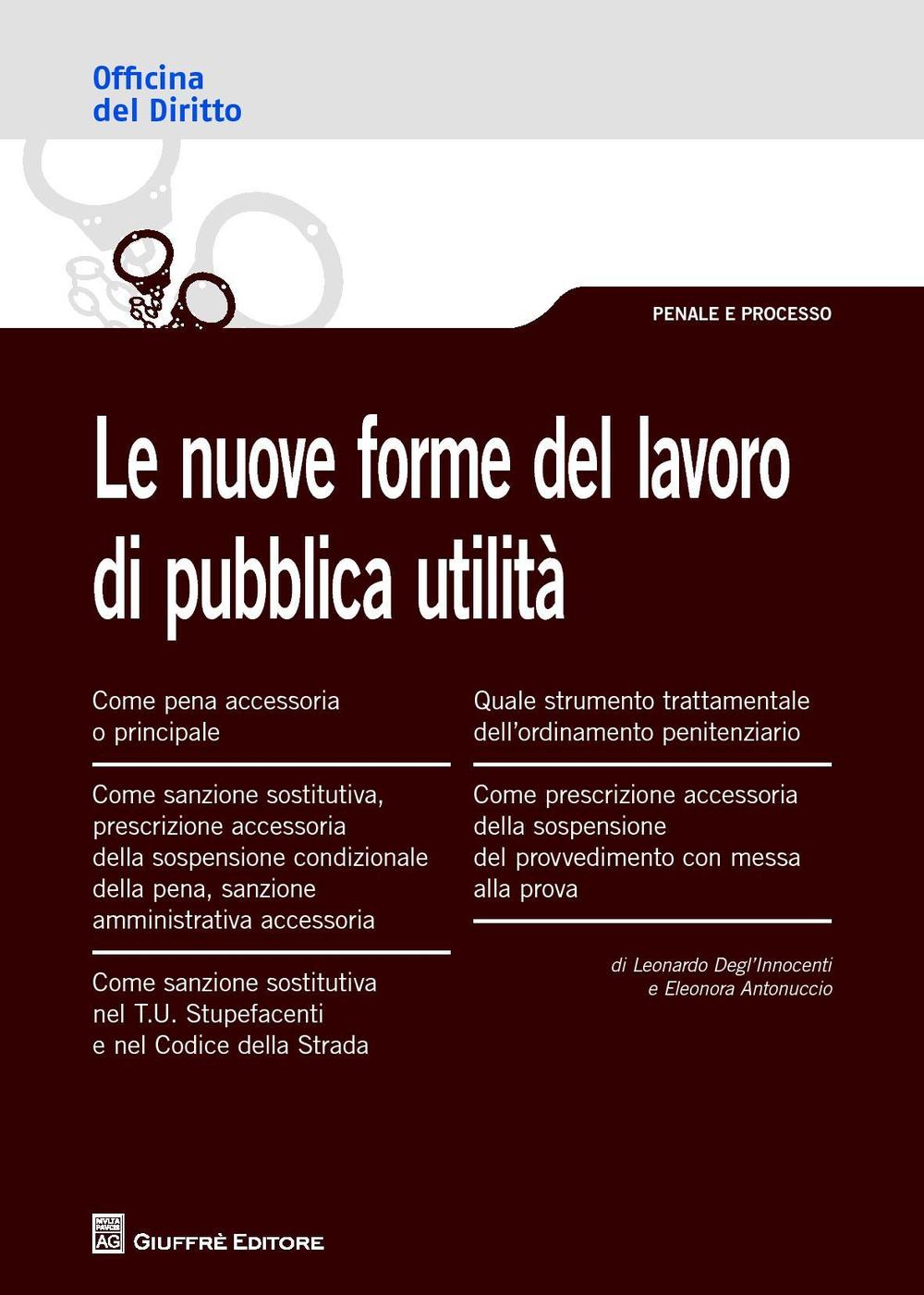 Le nuove forme del lavoro di pubblica utilità 