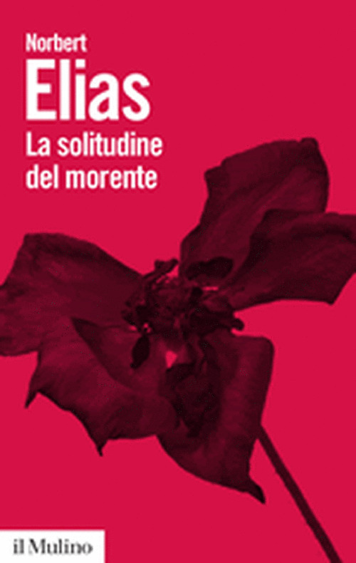 La solitudine del morente